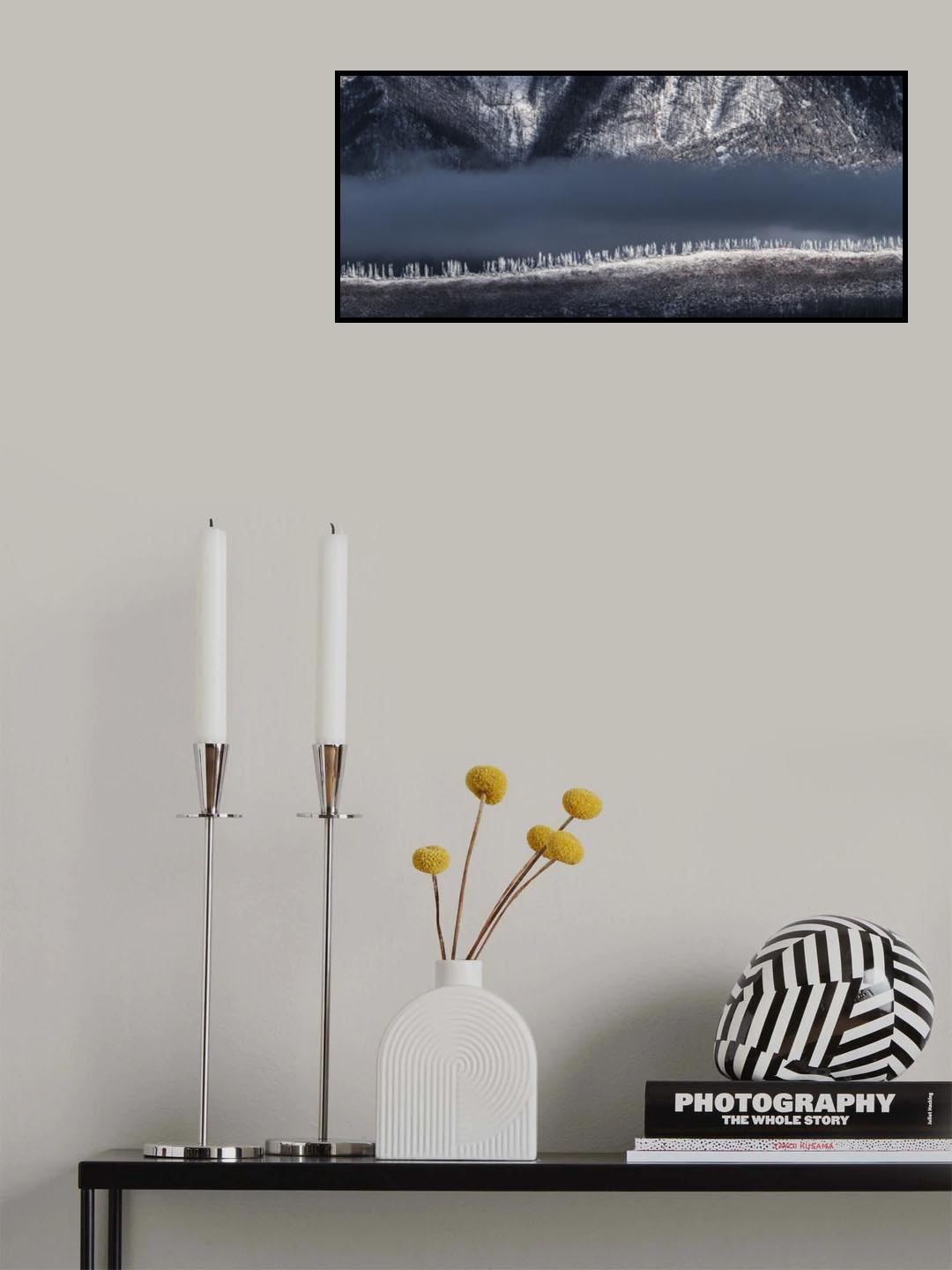 frozen firs Poster och Canvastavla