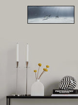 Tigers on Parade Poster och Canvastavla