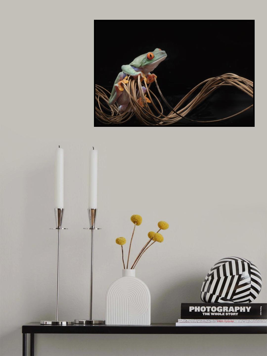 Red Eyed Tree Frog Poster och Canvastavla