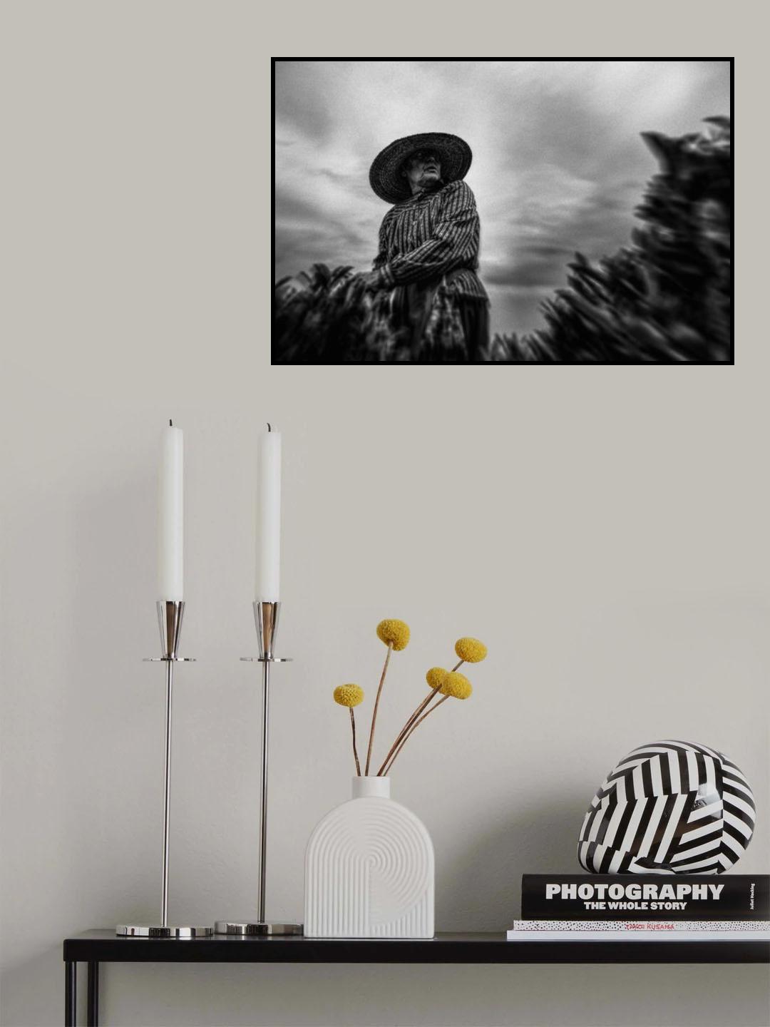 n/t Poster och Canvastavla