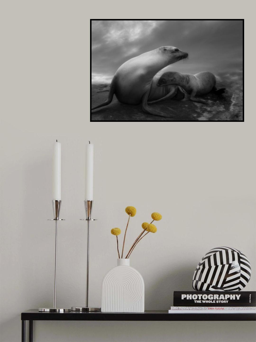 The Sea Lions' Touching Moments Poster och Canvastavla