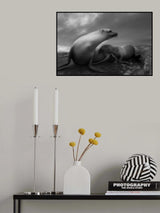 The Sea Lions' Touching Moments Poster och Canvastavla