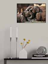 WATER FUN Poster och Canvastavla