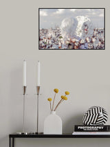 Snow white Poster och Canvastavla