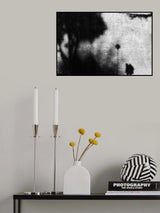 shadows Poster och Canvastavla