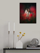 ... in red poppy ... Poster och Canvastavla