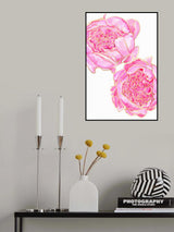 Sally's peonies Poster och Canvastavla