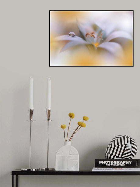 Miracle of Life.. Poster och Canvastavla