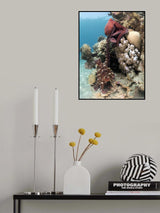 Octopus Mating Poster och Canvastavla