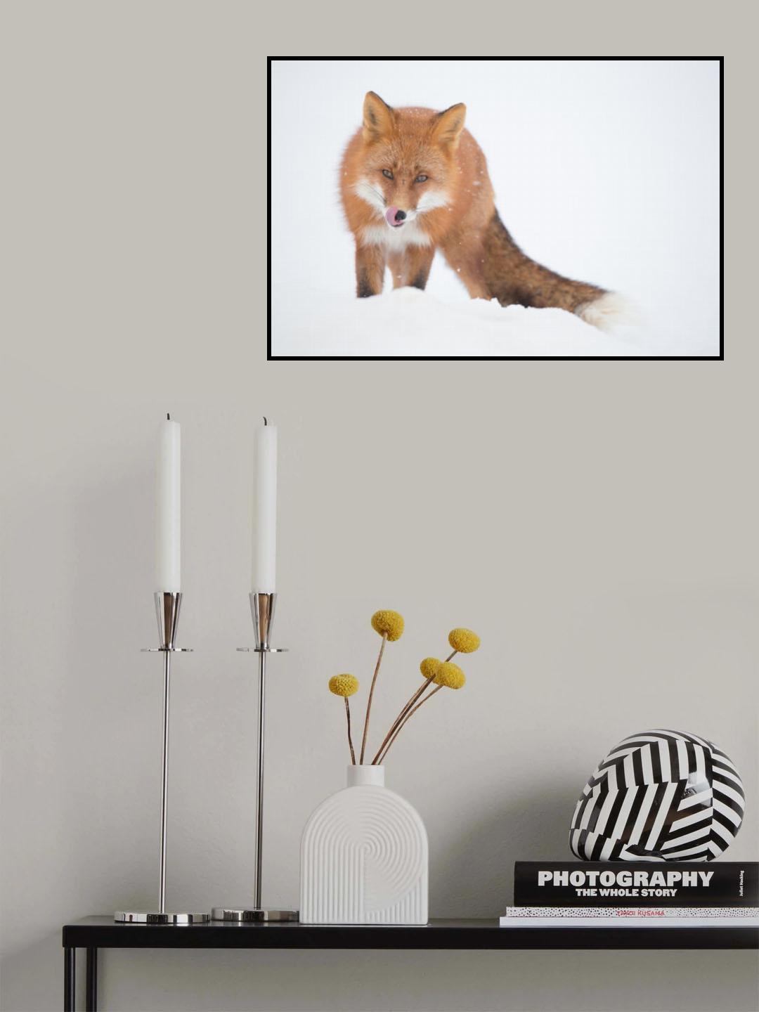Where is the hare? Poster och Canvastavla