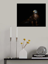 Red kite portrait Poster och Canvastavla