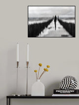 The gate Poster och Canvastavla