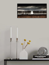 The space between. Poster och Canvastavla