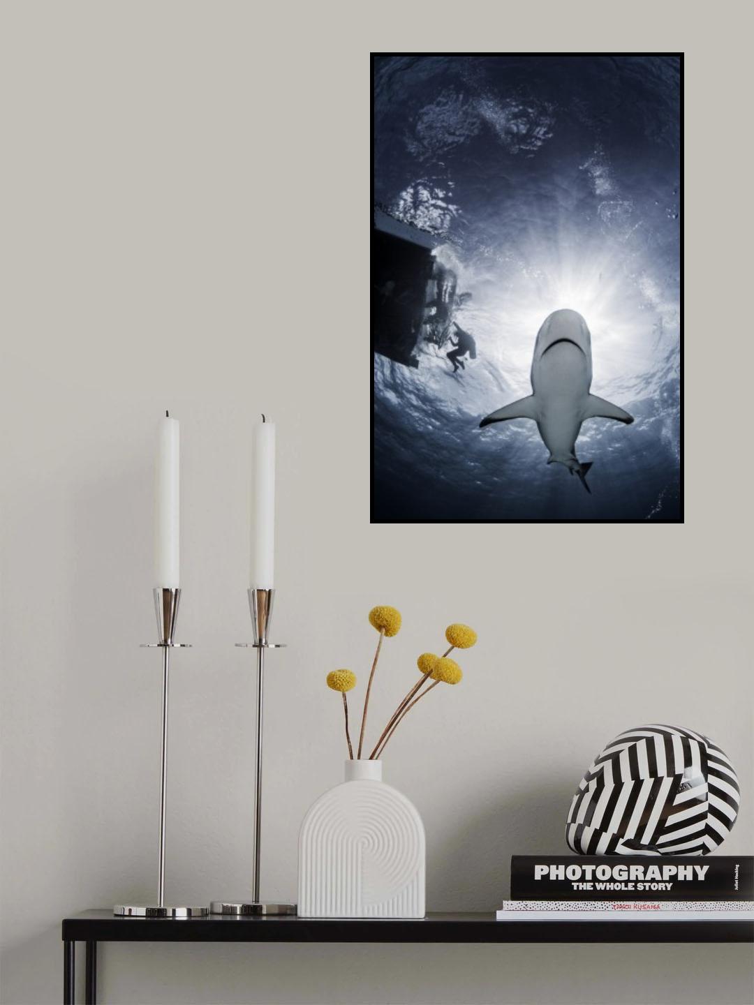 Reefs from the Sun Poster och Canvastavla