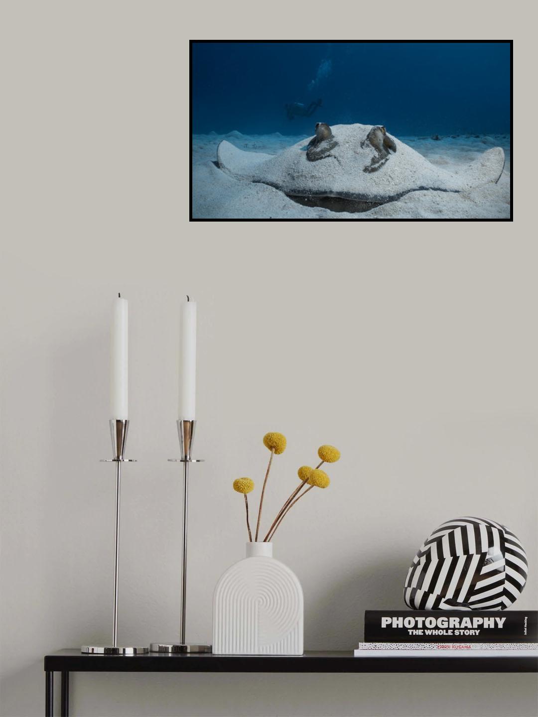 I am watching you Poster och Canvastavla