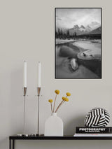 The Good Old Sisters Poster och Canvastavla