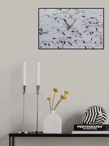 Poster och Canvastavla