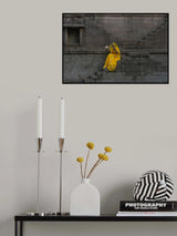 Lady in Stepwell Poster och Canvastavla