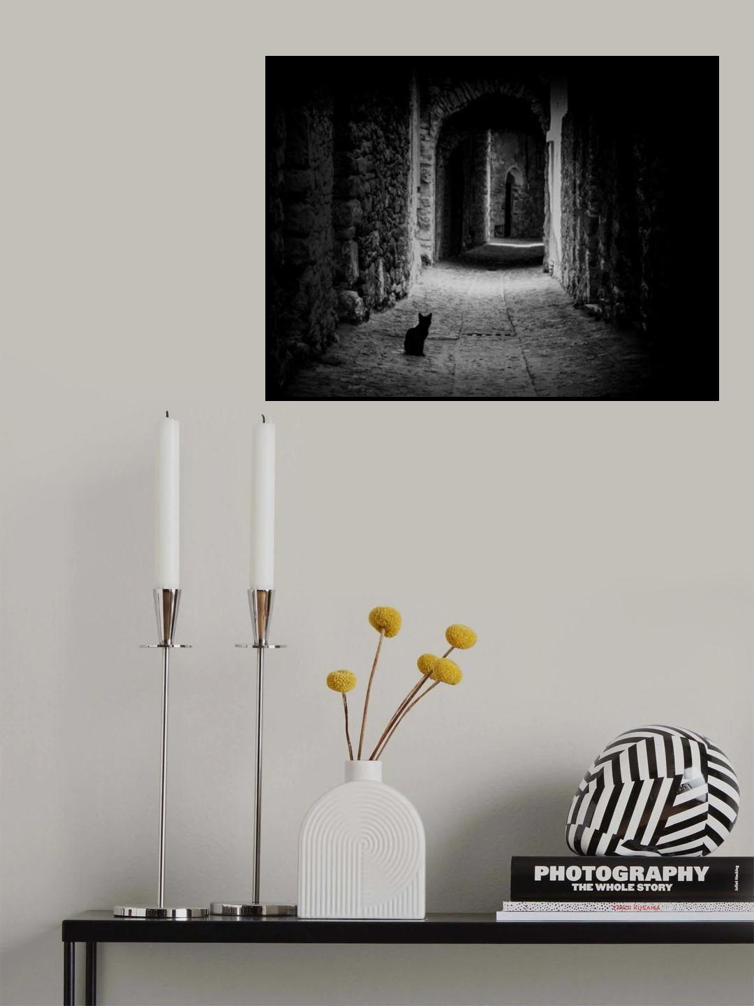 Black Cat Path Poster och Canvastavla