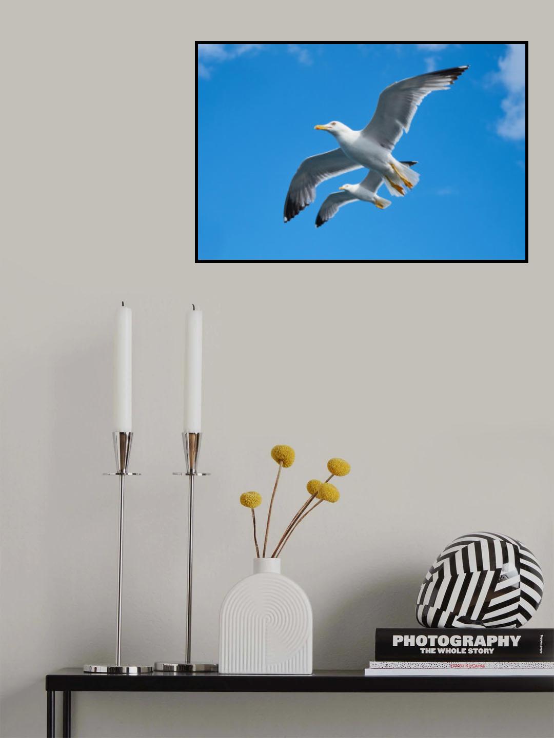 flying seagull Poster och Canvastavla