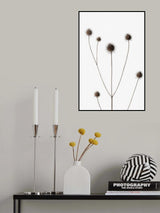 Thistle Grey 11 Poster och Canvastavla