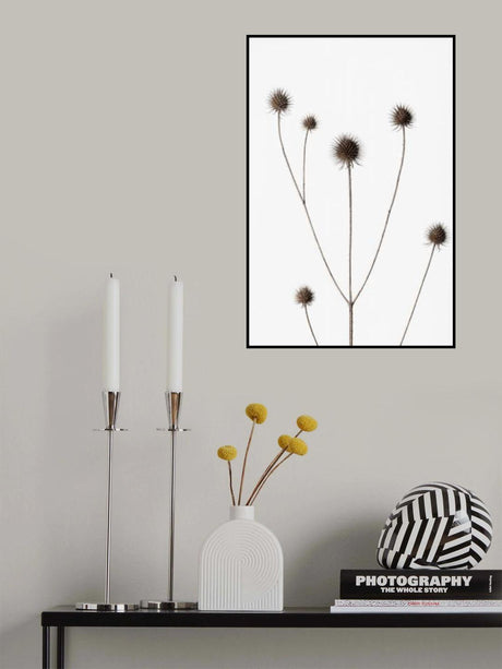 Thistle Grey 11 Poster och Canvastavla