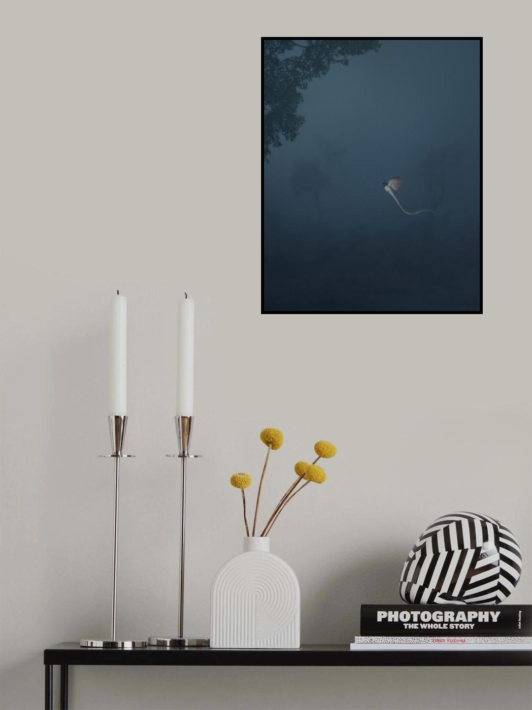 Paradise Flycatcher Poster och Canvastavla
