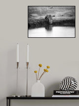 DECISIVE MOMENT Poster och Canvastavla
