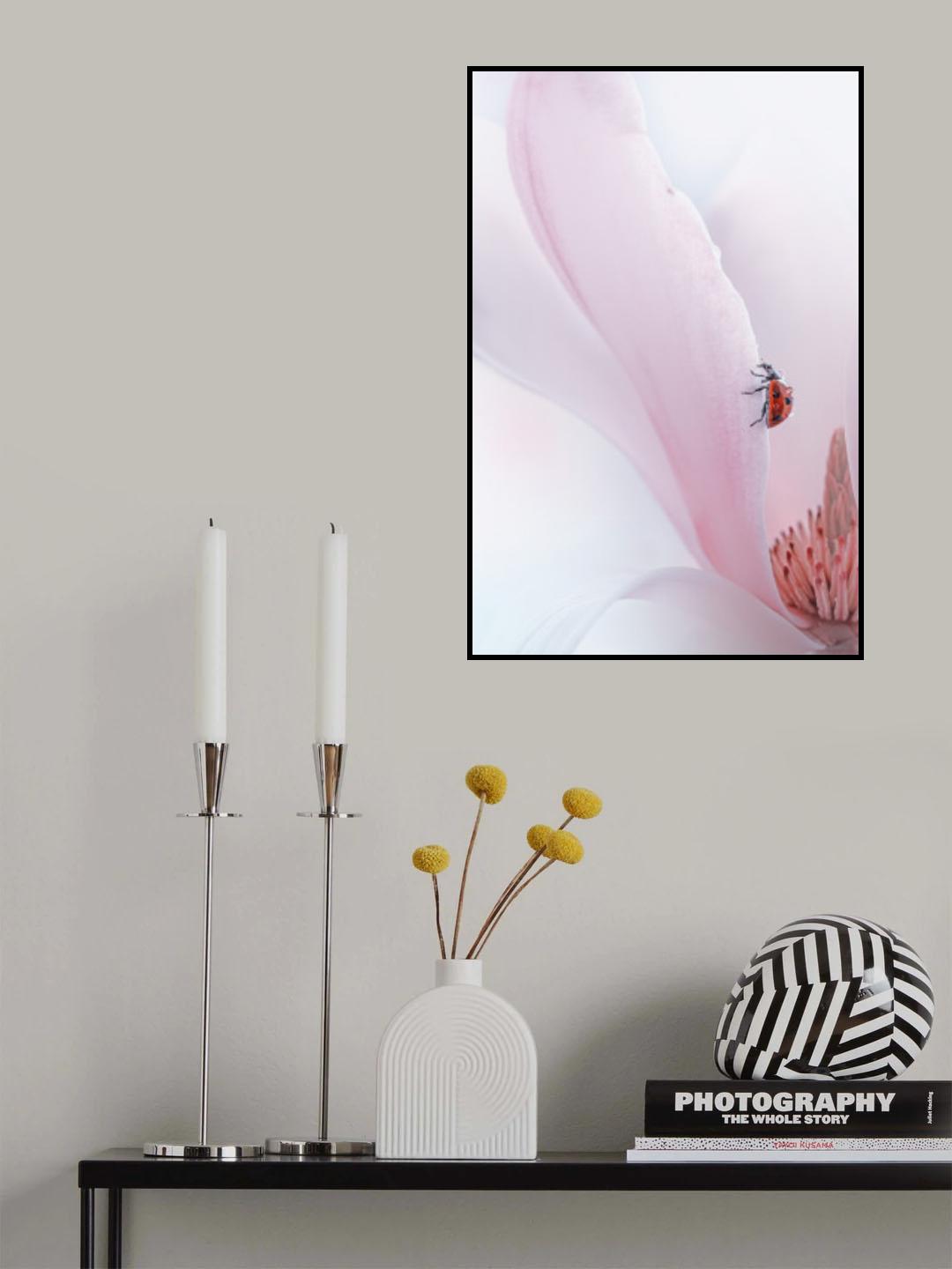 Ladybug Poster och Canvastavla