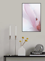 Ladybug Poster och Canvastavla