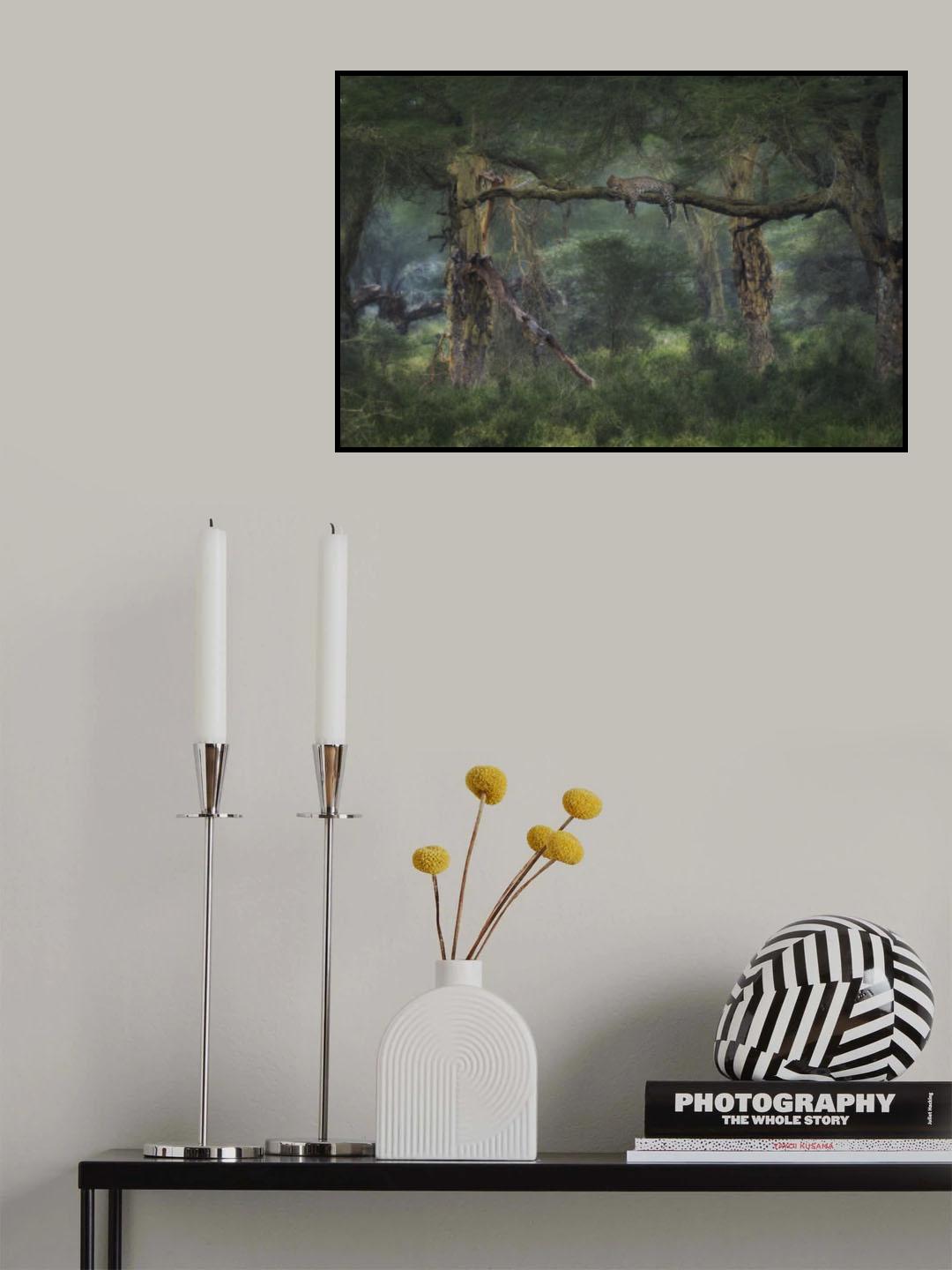 The Jungle Book Poster och Canvastavla