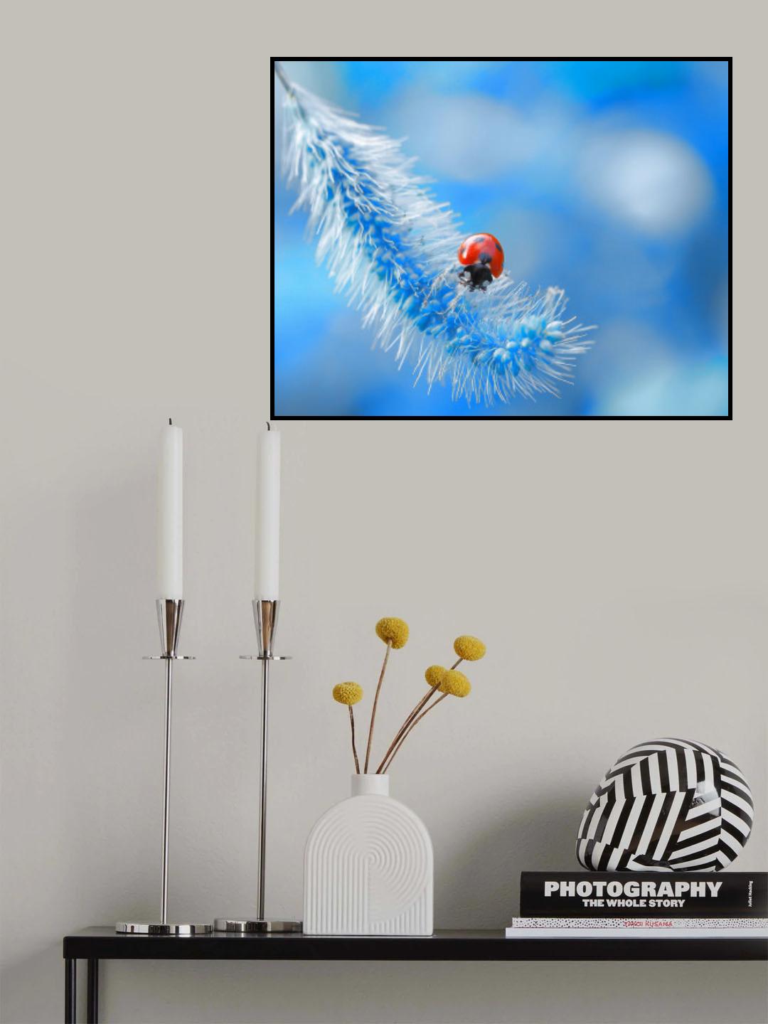 Welcome to ladybug paradise... Poster och Canvastavla