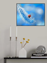 Welcome to ladybug paradise... Poster och Canvastavla