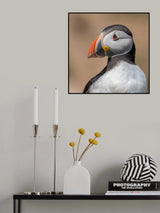 Portrait Poster och Canvastavla