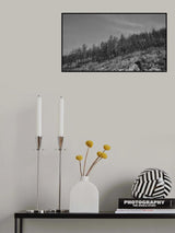 image of a forest after a fire Poster och Canvastavla