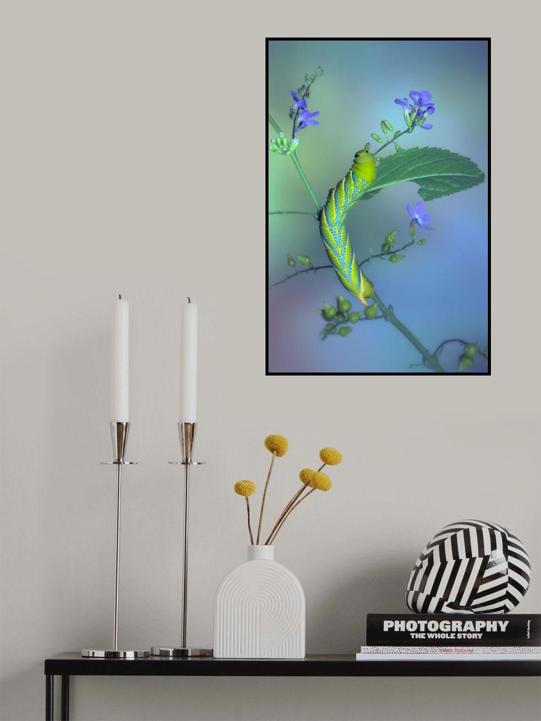 Feeding Poster och Canvastavla
