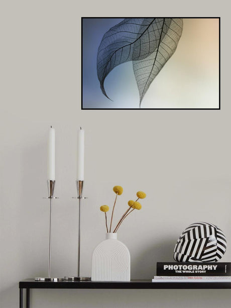 Cavatina Poster och Canvastavla