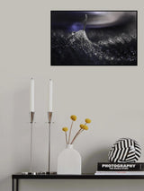Dandelion Poster och Canvastavla