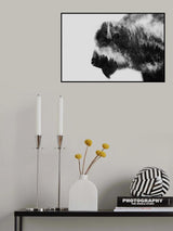 Bison Poster och Canvastavla