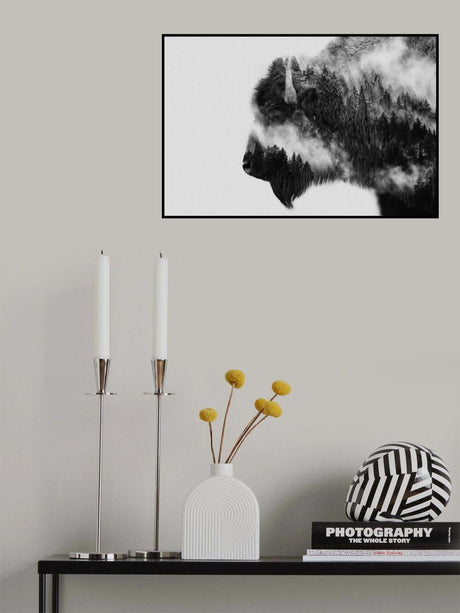 Bison Poster och Canvastavla