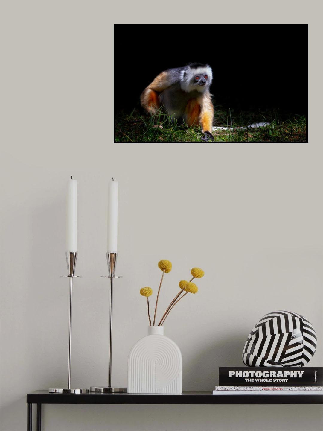 Lemur Poster och Canvastavla