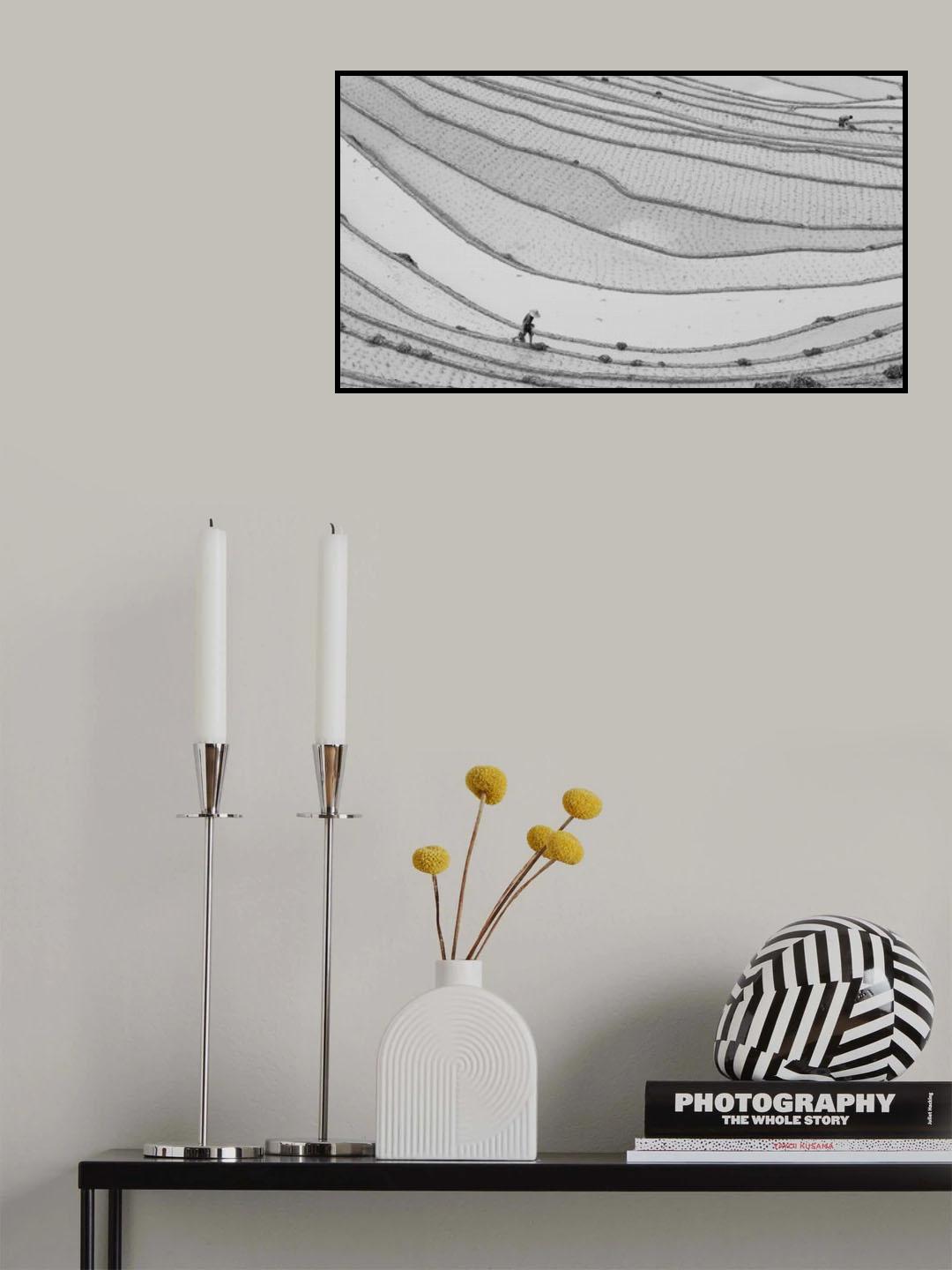 Lines Poster och Canvastavla