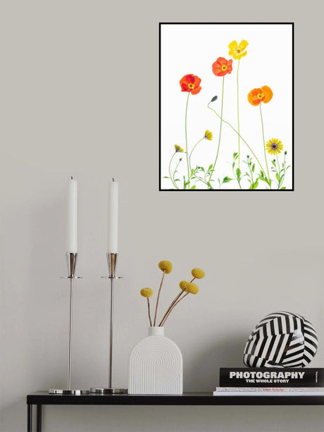 Flowers Poster och Canvastavla