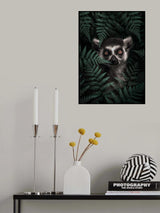 Lemur In The Forest Poster och Canvastavla