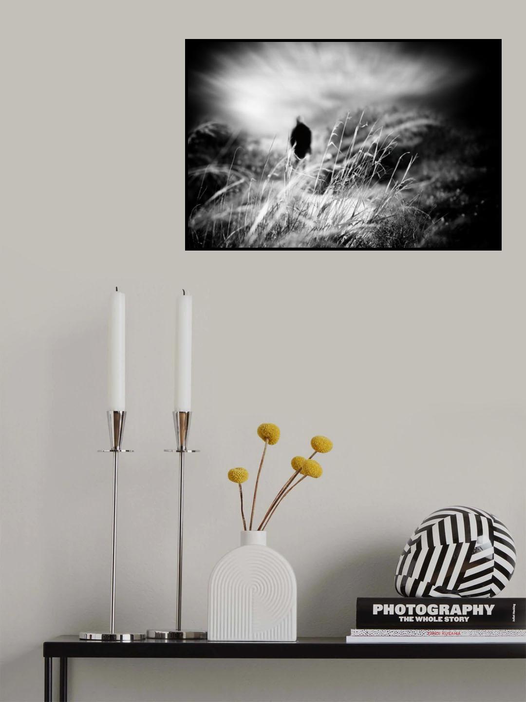 n/t Poster och Canvastavla