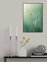 Stylish Poster och Canvastavla