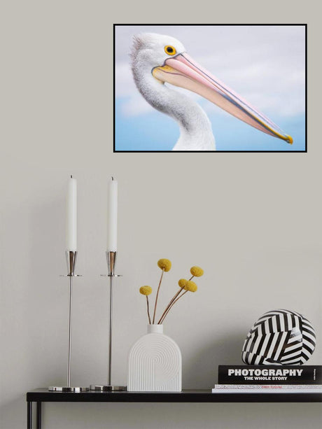 pelican Poster och Canvastavla
