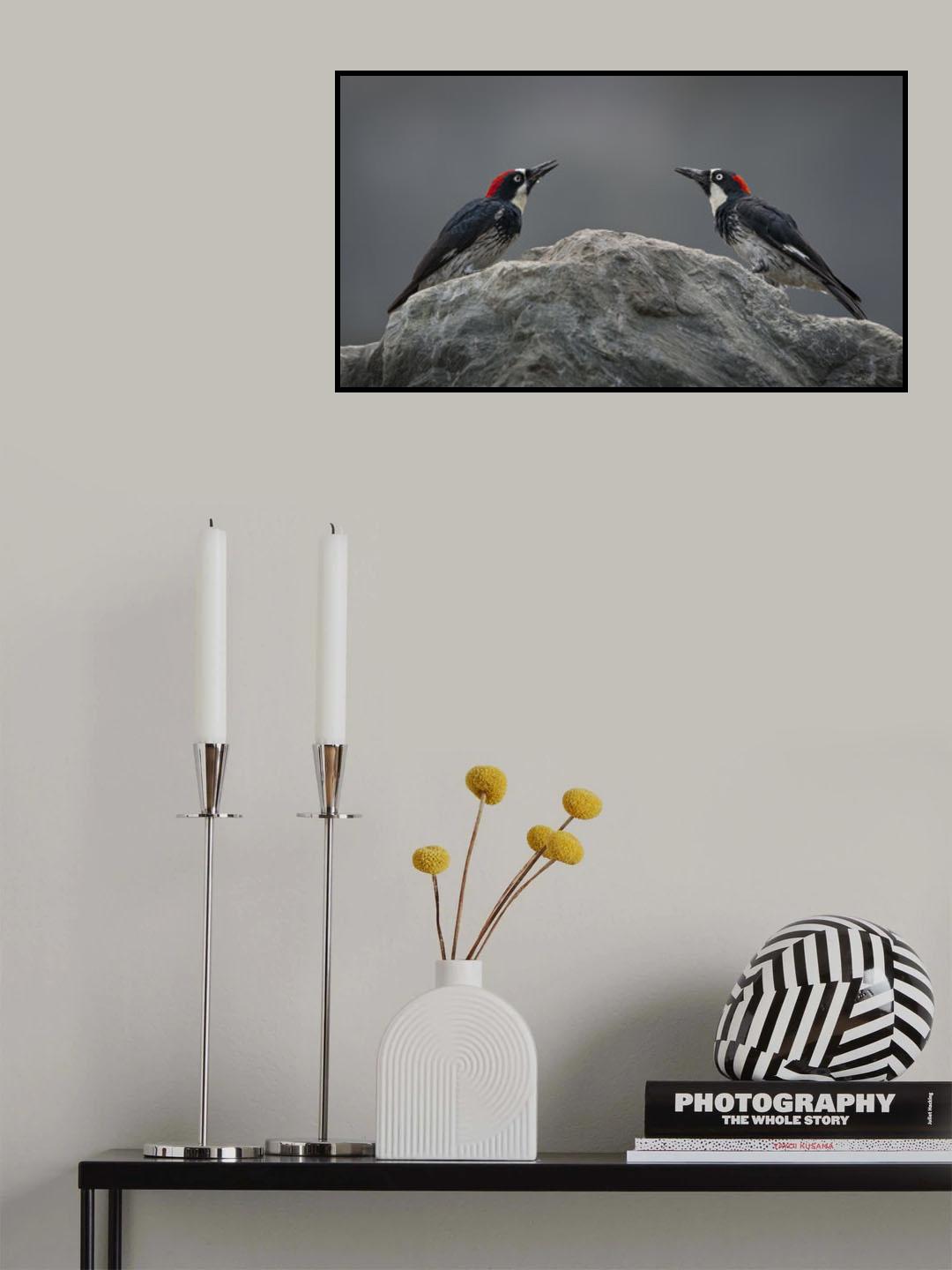 Love at first sight Poster och Canvastavla