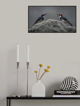 Love at first sight Poster och Canvastavla
