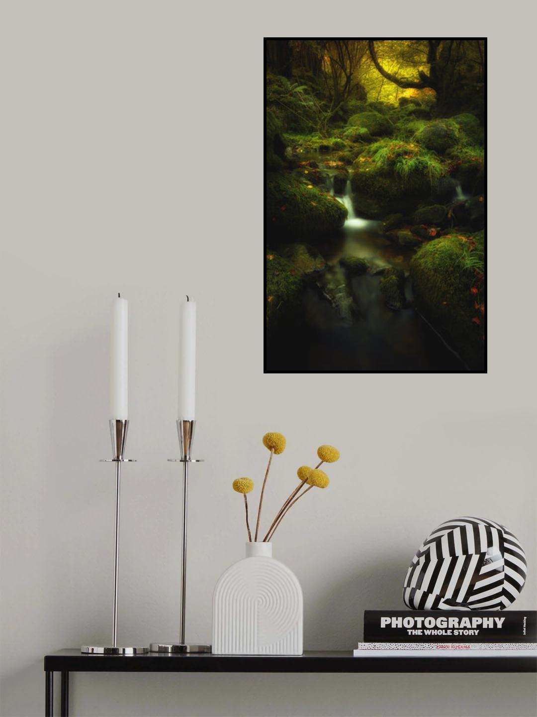 Land of Xanes Poster och Canvastavla